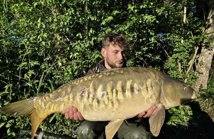 Untitled image