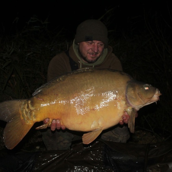 Instagram feed image