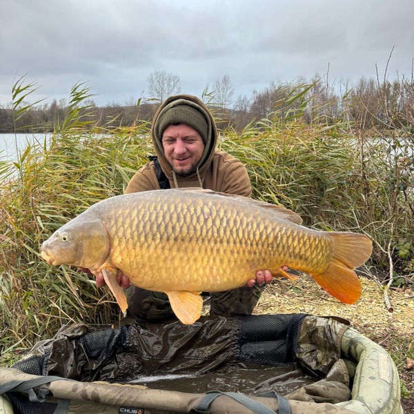 Instagram feed image